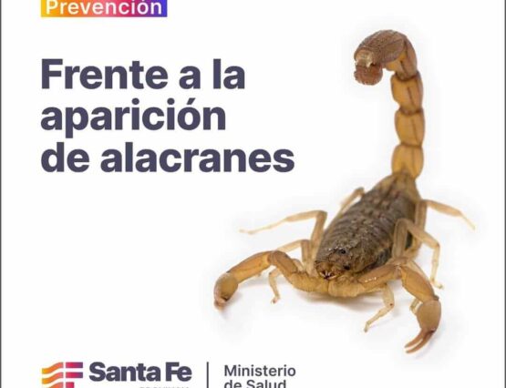 🦂 PREVENCIÓN Y CUIDADOS ANTE LA PRESENCIA DE ALACRANES