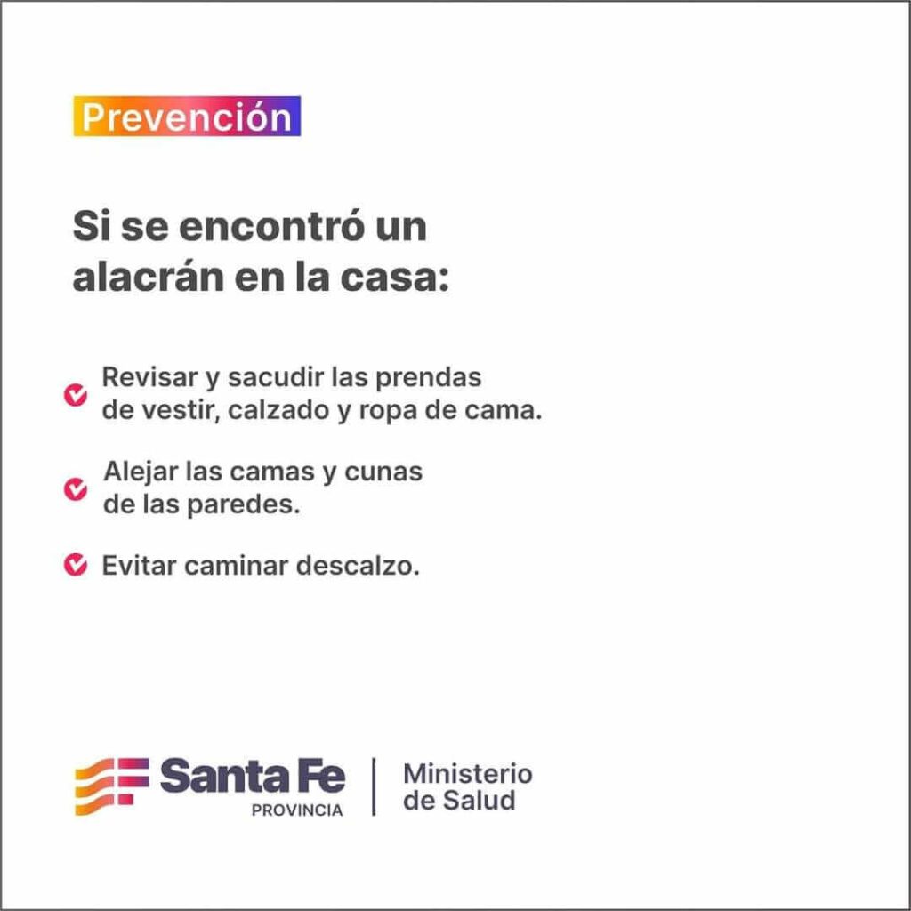 🦂 PREVENCIÓN Y CUIDADOS ANTE LA PRESENCIA DE ALACRANES