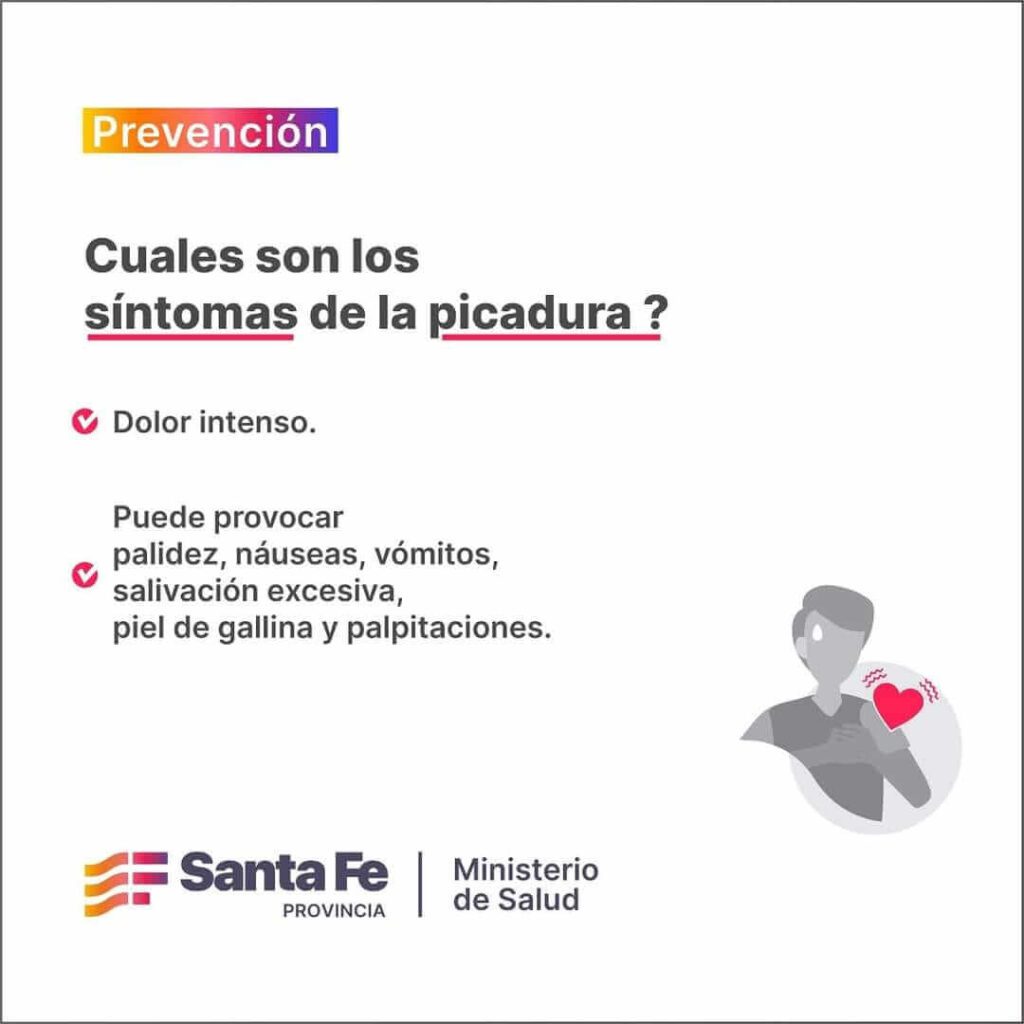 🦂 PREVENCIÓN Y CUIDADOS ANTE LA PRESENCIA DE ALACRANES