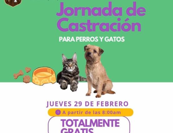 🐾 ¡Atención San Agustín! Castraciones Gratuitas para Perros y Gatos 🐶😺