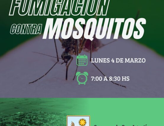 FUMIGACIÓN CONTRA MOSQUITOS 🦟 🦄