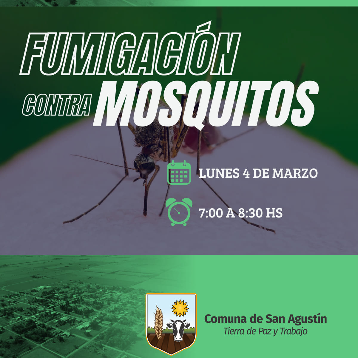 FUMIGACIÓN CONTRA MOSQUITOS 🦟 🦄