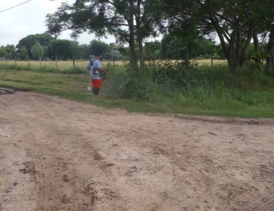 Seguimos trabajando en la limpieza del pueblo 🚜🌿