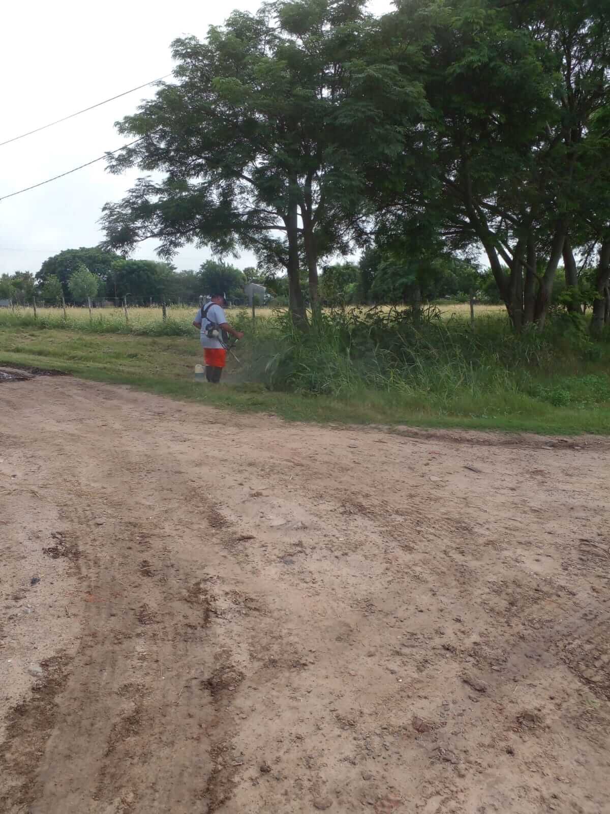 Seguimos trabajando en la limpieza del pueblo 🚜🌿