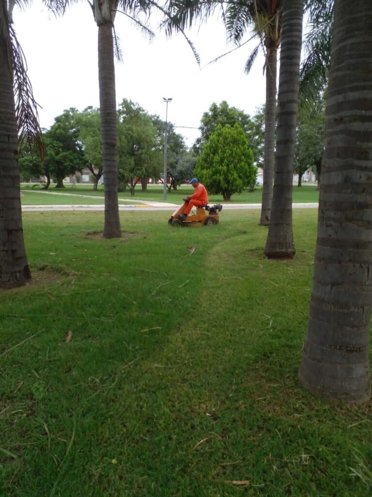 Seguimos trabajando en la limpieza del pueblo 🚜🌿