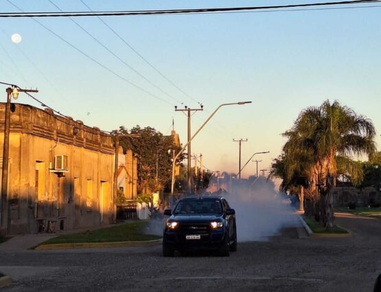 Fumigación contra mosquitos 🚫 🦟