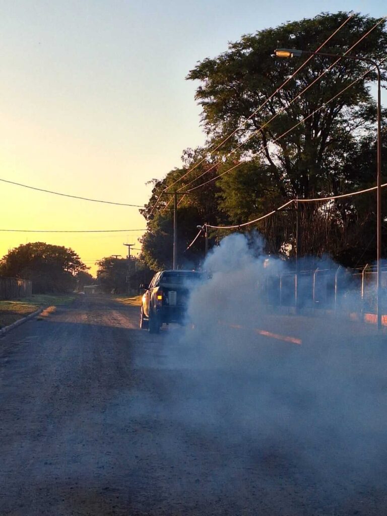 Fumigación contra mosquitos 🚫 🦟