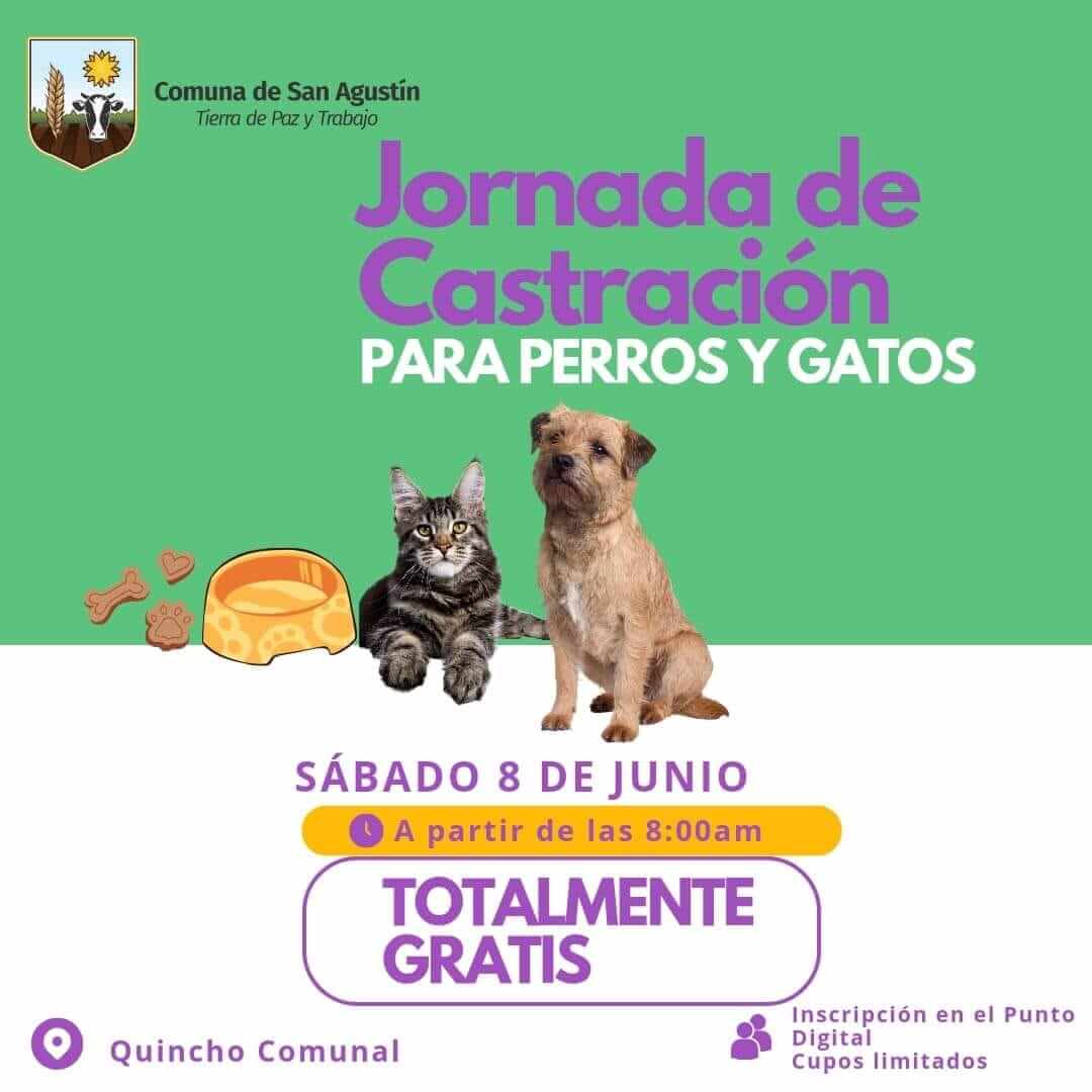 🐾 Jornadas de Castraciones Gratuitas para Perros y Gatos 🐶😺