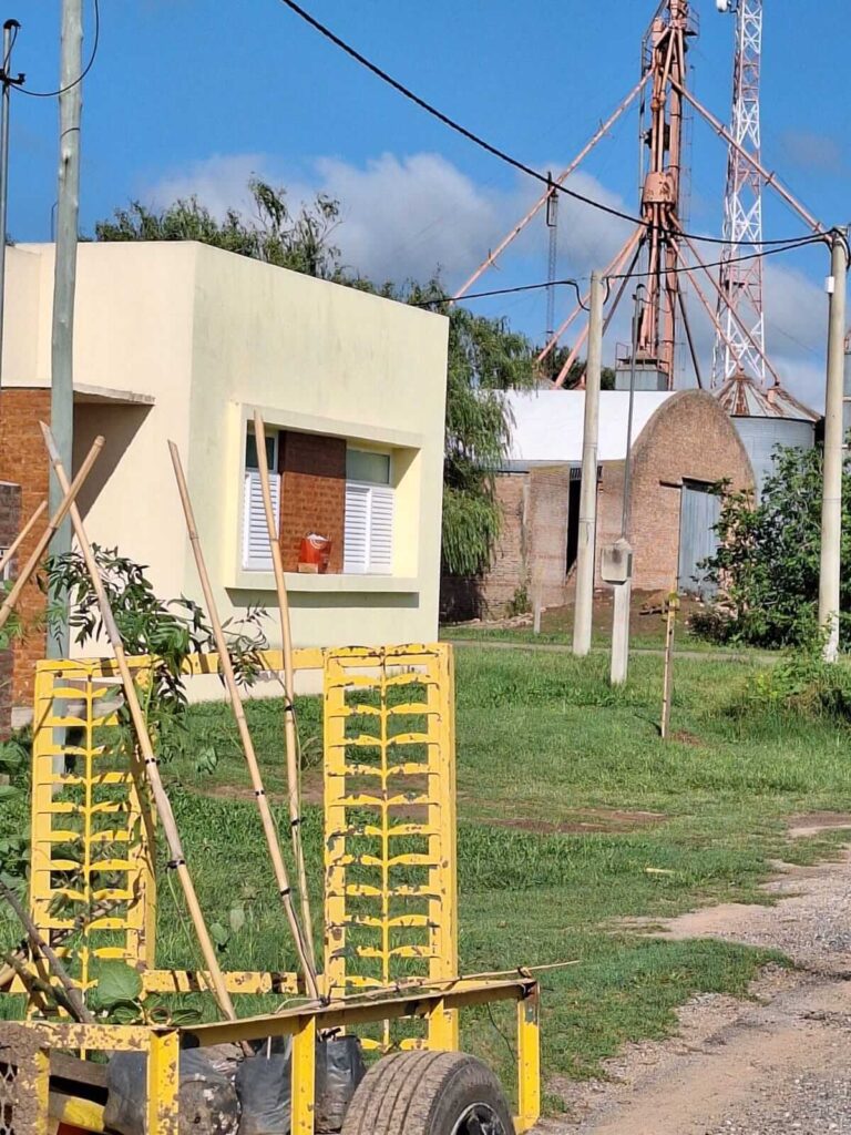 Forestamos 40 árboles 🌳 en San Agustín 🌱