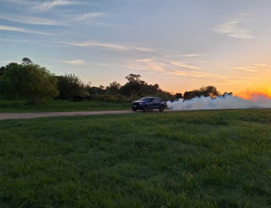 FUMIGACIÓN CONTRA MOSQUITOS 🚫 🦟