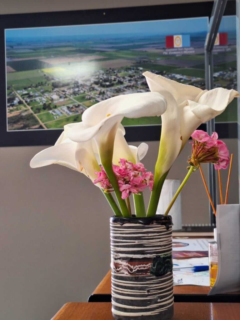 Hoy comienza la primavera y la Comuna lo sabe 💐