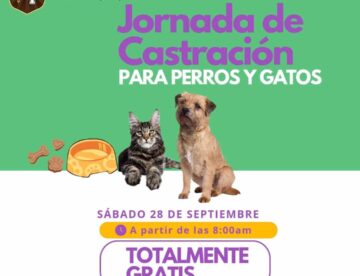 🐾 Jornadas de Castraciones Gratuitas para Perros y Gatos 🐶😺