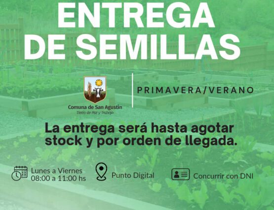 Programa Comunal de Semillas Primavera-Verano 2024