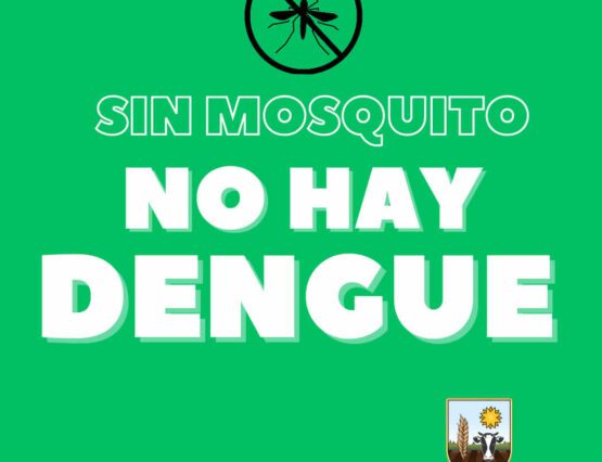 Sin mosquito no hay dengue