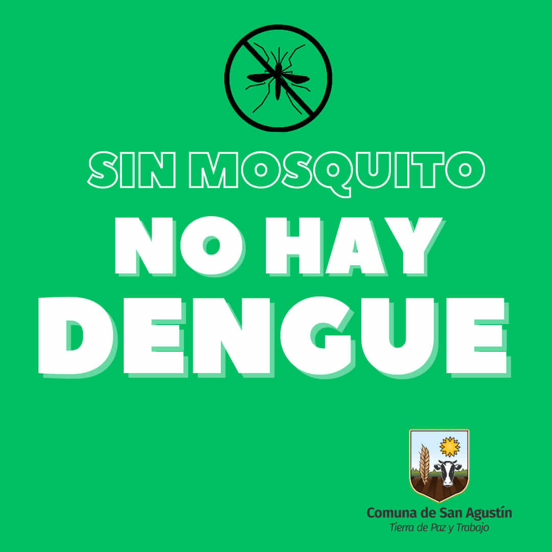 Sin mosquito no hay dengue