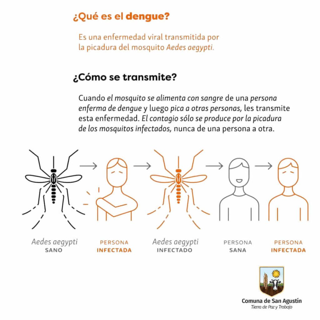 Sin mosquito no hay dengue