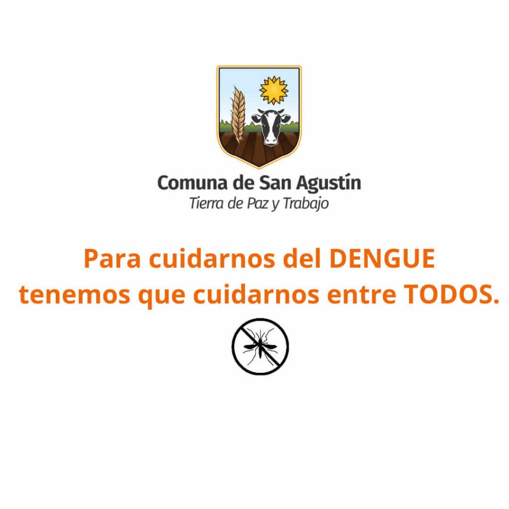 Sin mosquito no hay dengue