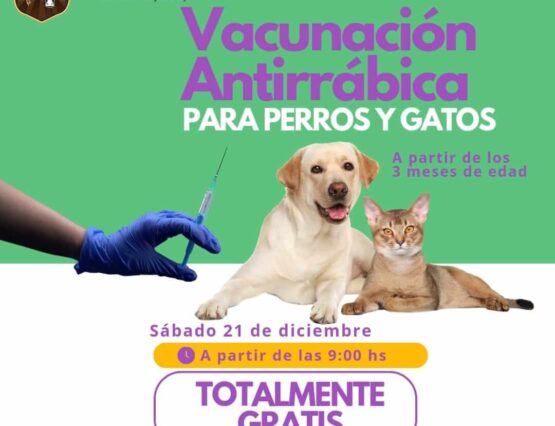 Jornada de vacunación antirrábica🐱🐶