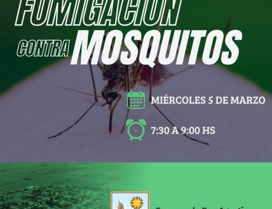 fumigación contra mosquitos 🚫 🦟